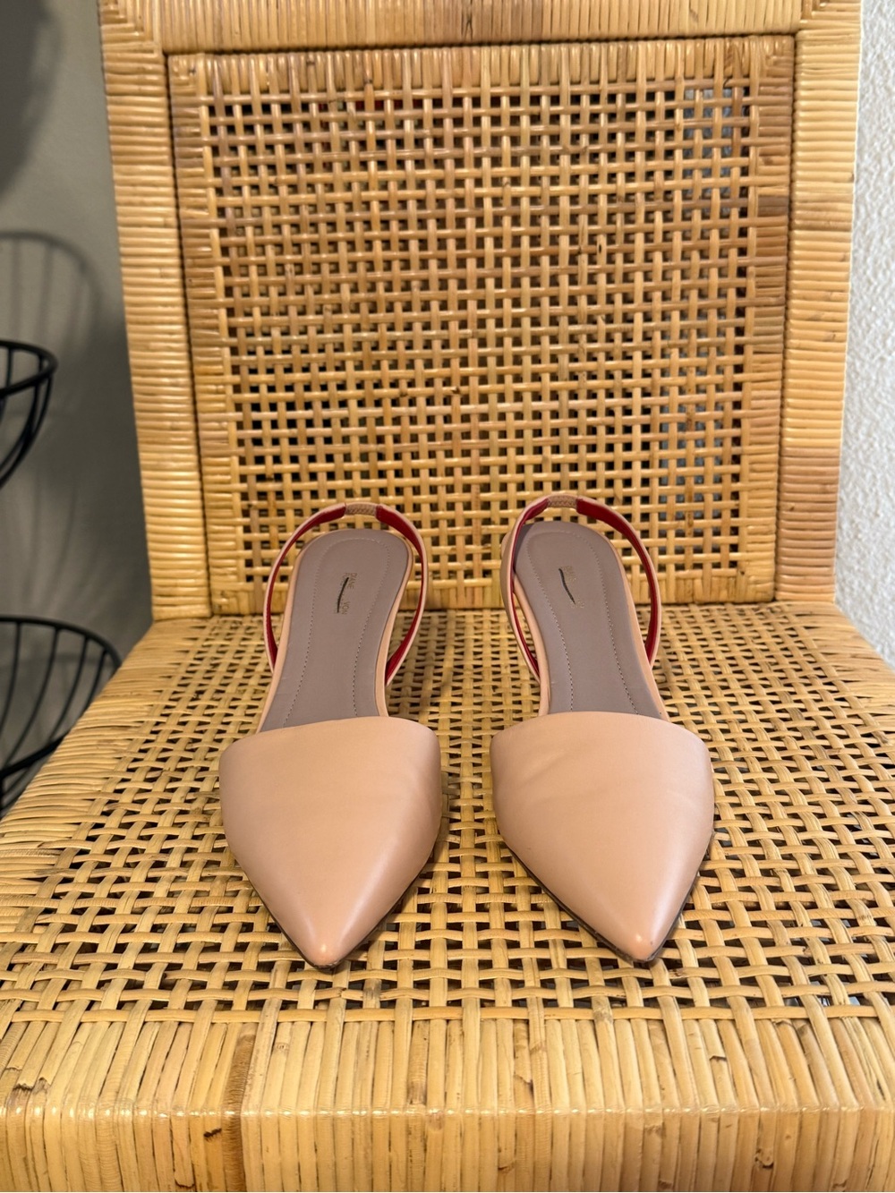 Diane Von Furstenberg Pointed Slingback Flats in Blush